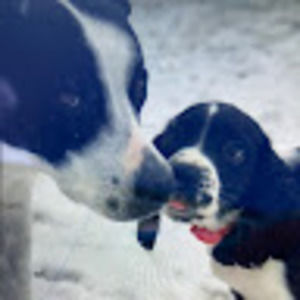 Meet your Posher, Wyatt